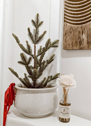 Reed Diffuser with Rattan Reeds and Sola Flowers