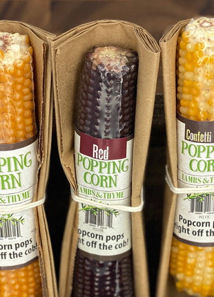 Popcorn Cobs Gift Packaged