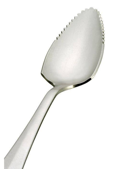 HIC Kitchen Serrated Edge Grapefruit Spoon Set Of 2