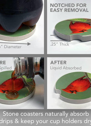 Rail Birds Absorbent Stone Car Coaster