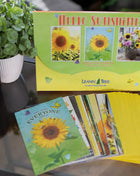 Hello Sunshine! - Greeting Card Assortment