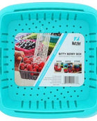 Bitty Berry Box container for washing serving and storing fresh berries
