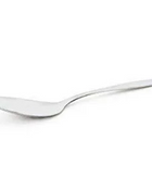 Large Serving Spoon