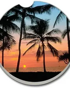 Ceramic Car Coasters - Palms