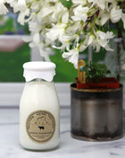 Milk Bottle Candle Jasmine Honeysuckle soy candle in farmhouse milk bottle