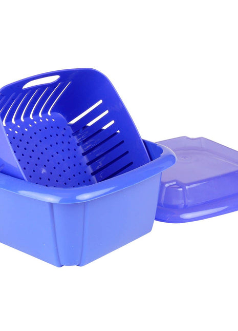 Berry Box food storage container for fresh berries in the refrigerator