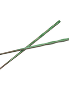 Mint Pakka Chop Sticks