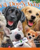 It's a Dogs World - Greeting Card Assortment