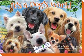 It's a Dogs World - Greeting Card Assortment